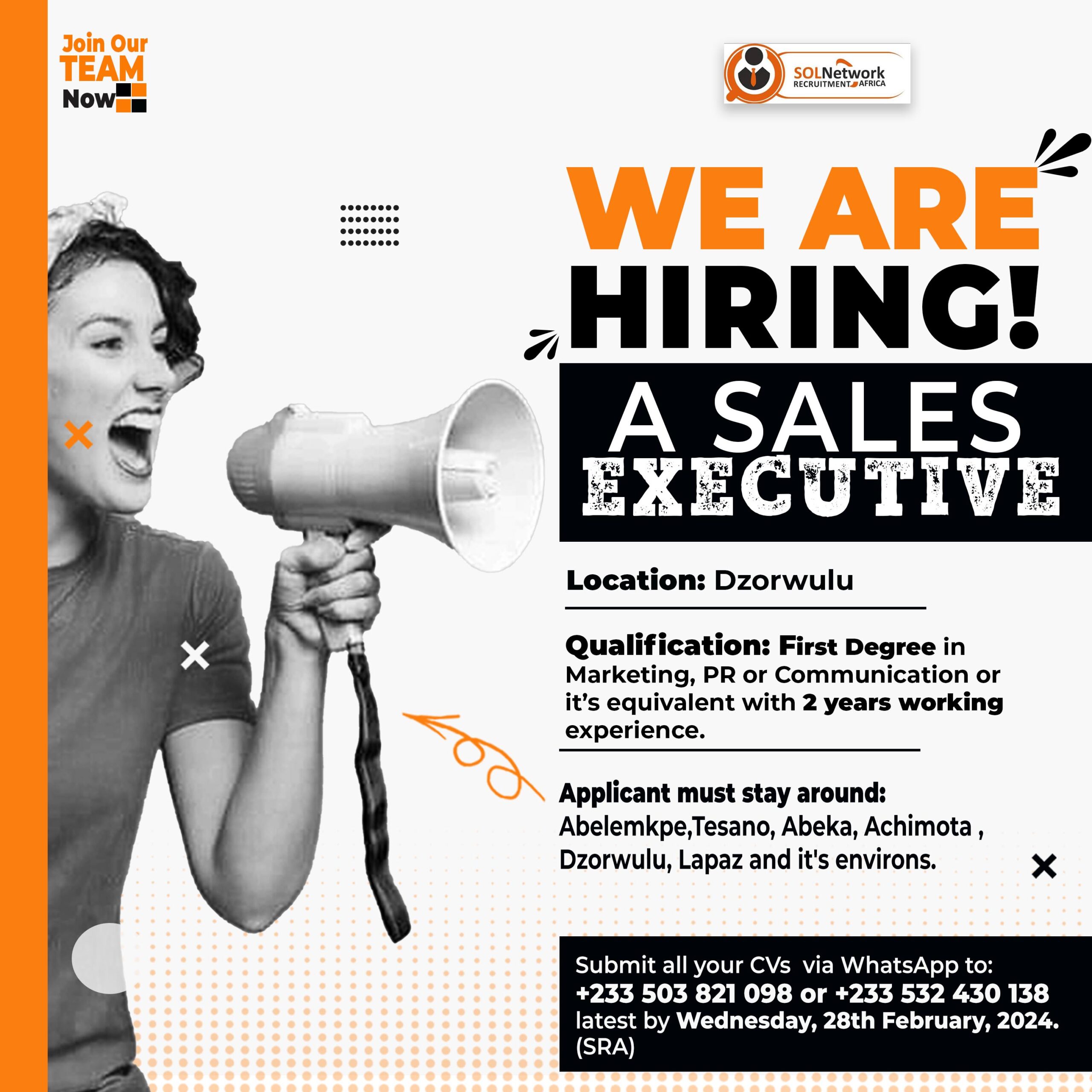 Sales Executive (Dzorwulu) 2